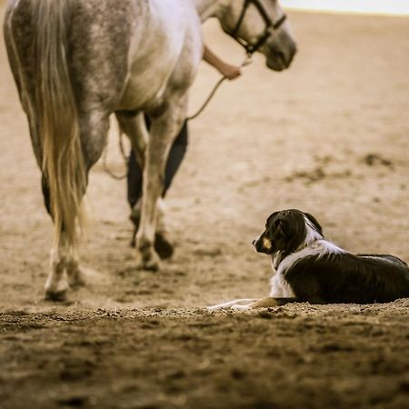 Western Pleasure Guest Ranch Sandpoint Buitenkant foto