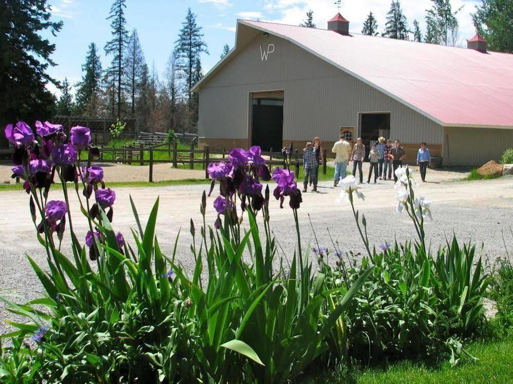 Western Pleasure Guest Ranch Sandpoint Buitenkant foto